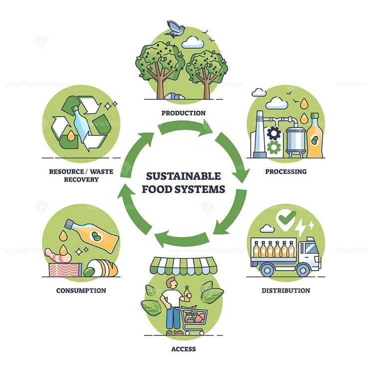 Sustainable food systems with nature friendly consumption outline diagram