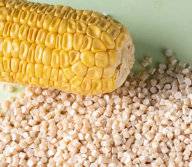 biodegradable plastic products